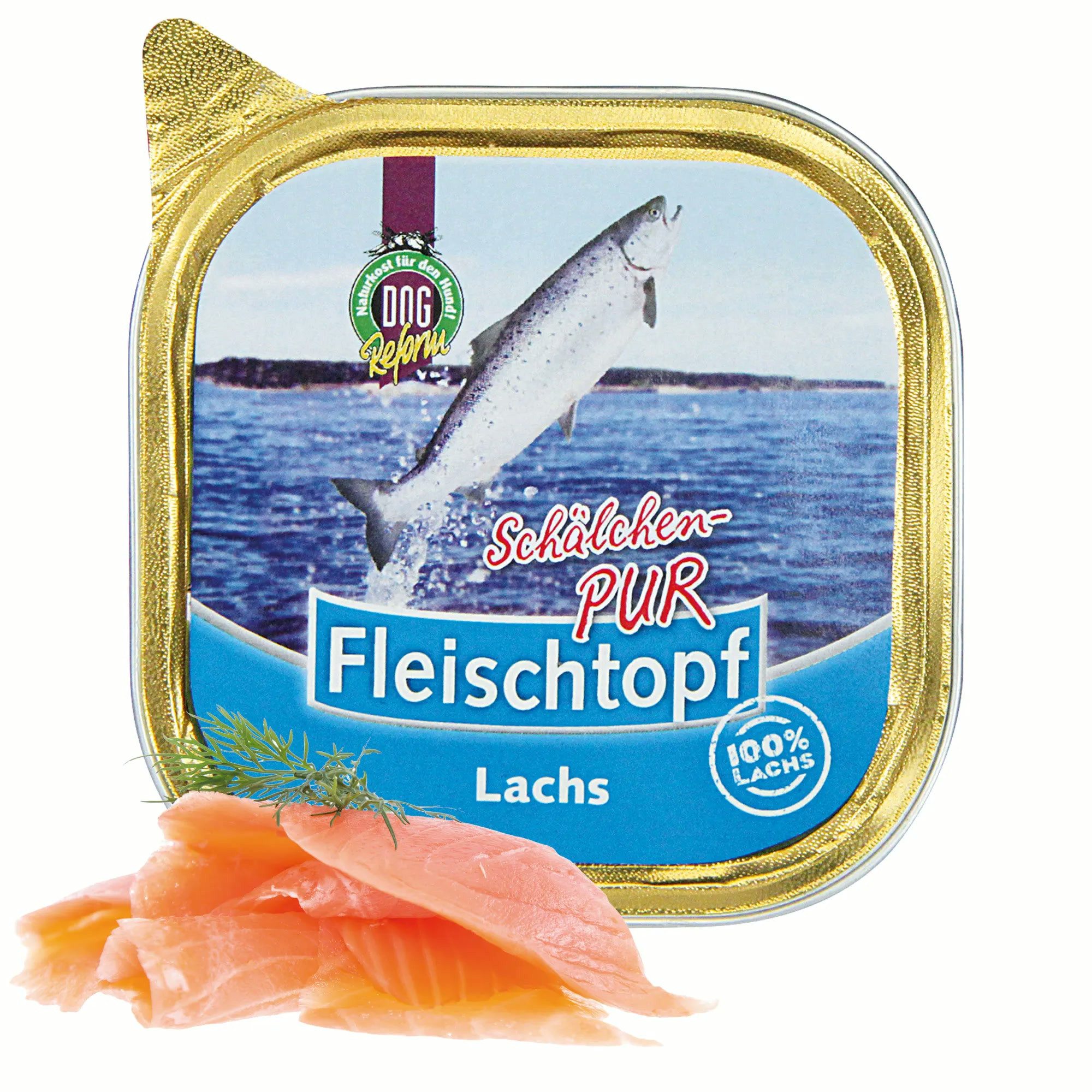 Schecker Fleischtopf-Schälchen-PUR Lachs - Einzelfuttermittel für Hunde Lachs, Nassfutter für: Hunde, ohne Zusatzstoffe