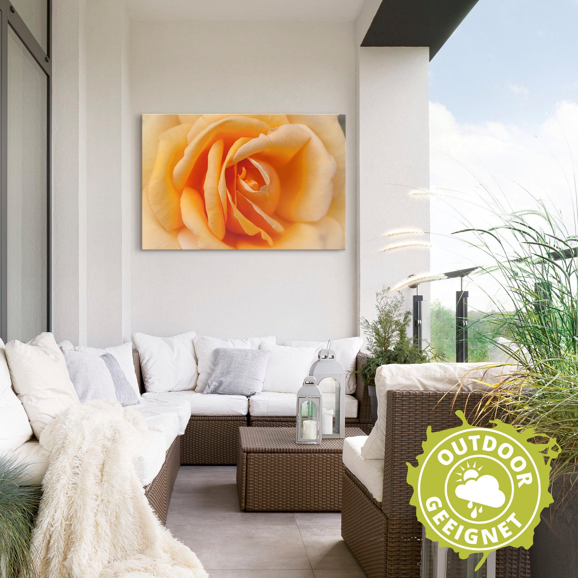Artland Wandbild Zarte Rose in Poster in oder Wandaufkleber Alubild, versch. Leinwandbild, Blumenbilder (1 Größen St), Orange, als