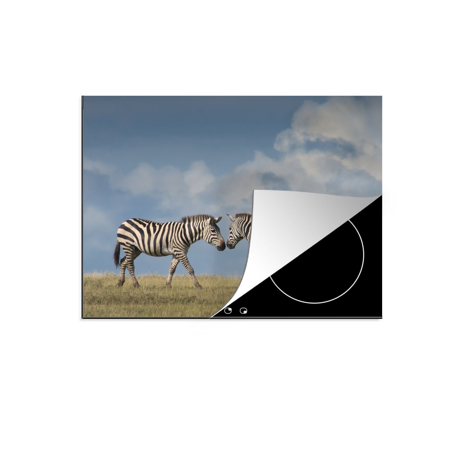 MuchoWow cm, nutzbar, Arbeitsfläche tlg), Ceranfeldabdeckung Mobile Herdblende-/Abdeckplatte 70x52 Verliebte Zebras, Vinyl, (1