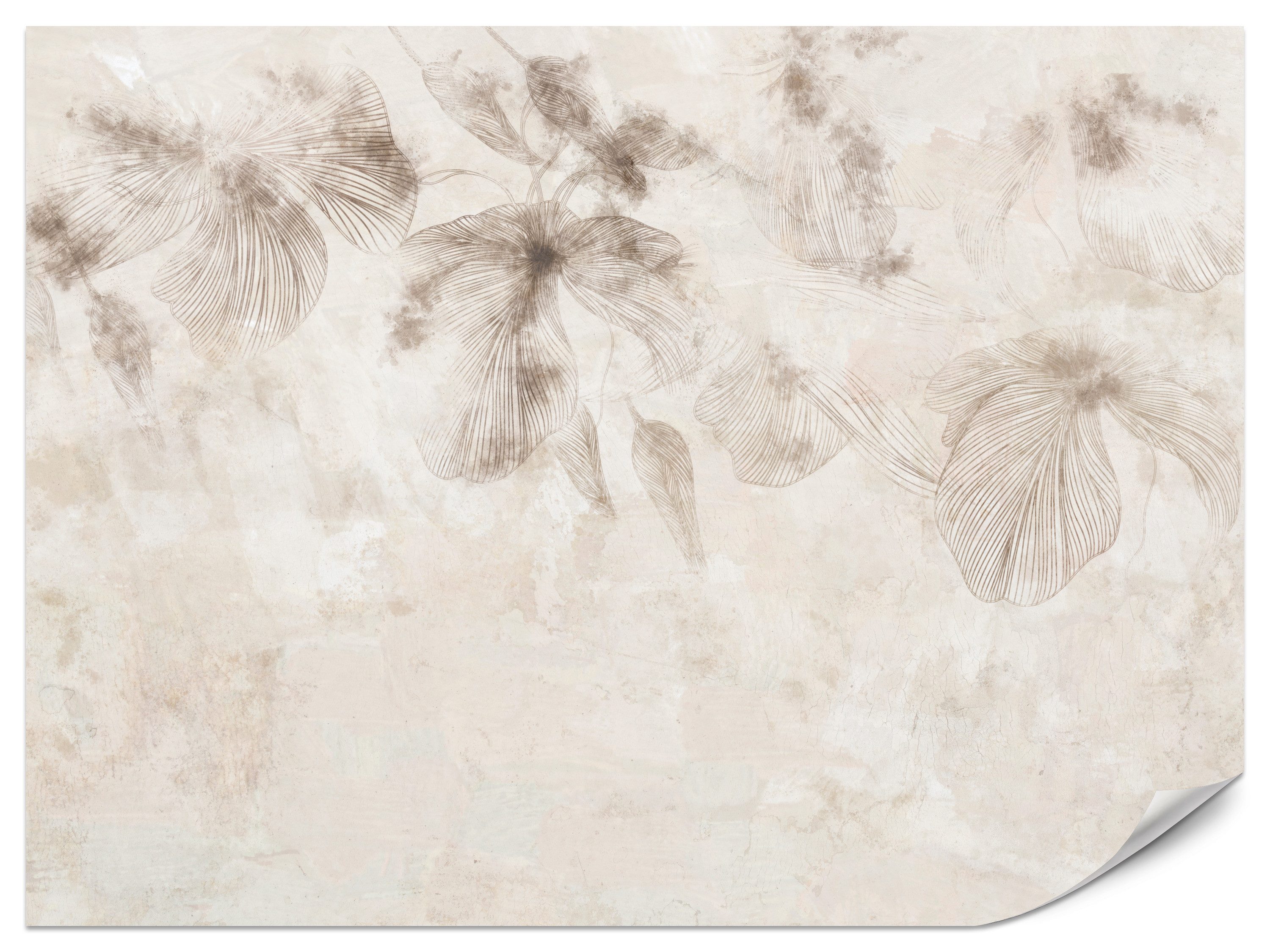 Muralo Fototapete Vliestapete - Blumenskizze, Konturlinien, Beige Blumen, Glatt, Grafisch, (Packung, 1 St., 100x70 cm), Kleber im Set, 3D-Optik, Ins Schlafzimmer, Wohnzimmer