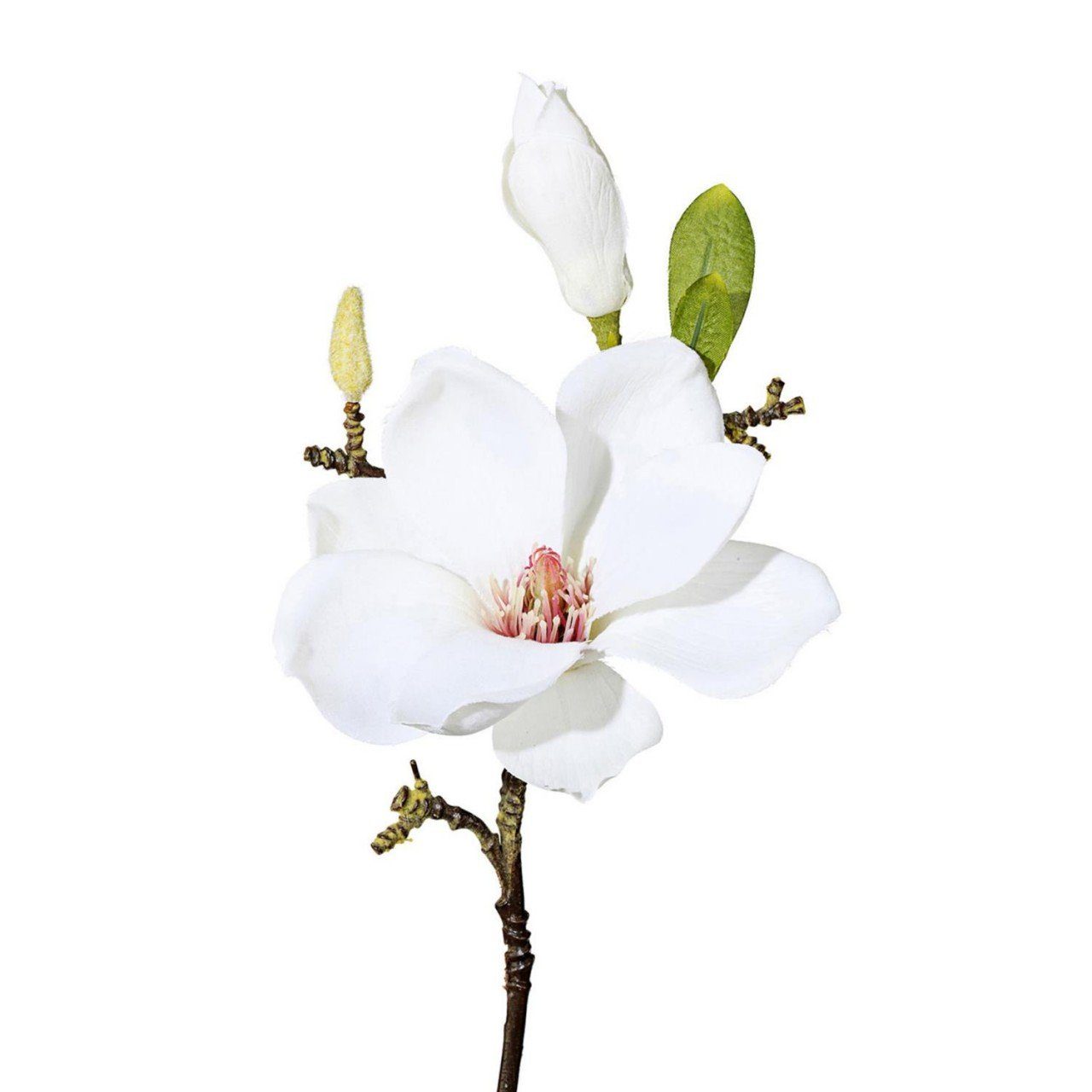 Kunstpflanze, Gasper, Höhe 37 cm, Weiß H:37cm Kunststoff