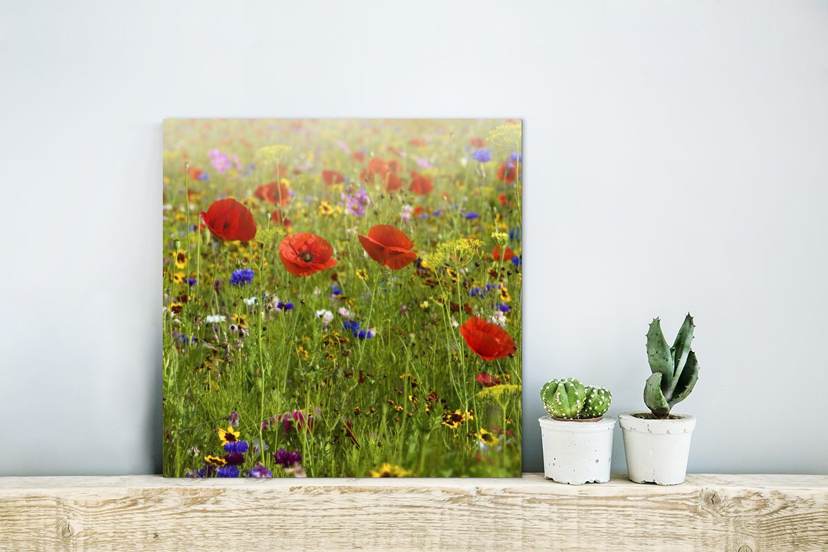 Blumen Aluminium Frühling St), Gemälde Mohn - - (1 MuchoWow - Metall, Gras Grün, - deko aus - Rot Metallbild Alu-Dibond-Druck,