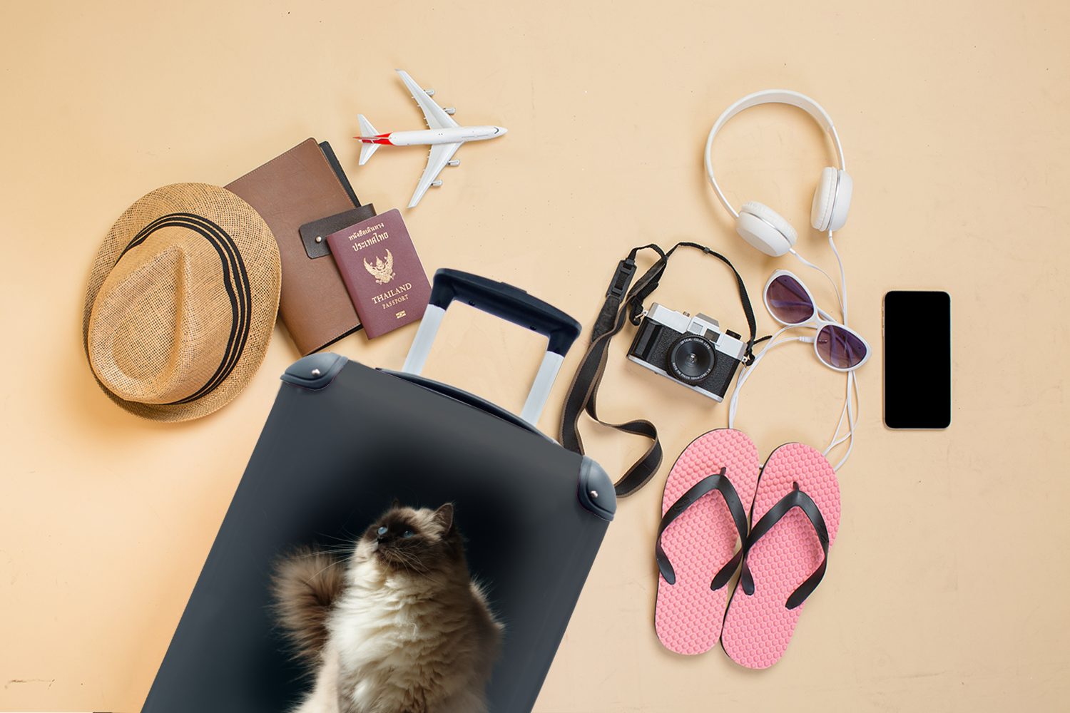 Rollen, 4 Ferien, für auf rollen, Ragdoll-Katze Reisetasche einer Reisekoffer Handgepäckkoffer Handgepäck MuchoWow Stange, mit Eine Trolley, sitzt