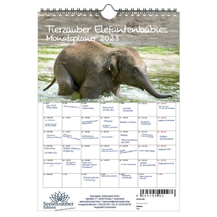Seelenzauber Wandkalender Tierzauber Elefantenbabies Planer DIN A4 - Kalender für 2023 Elefanten