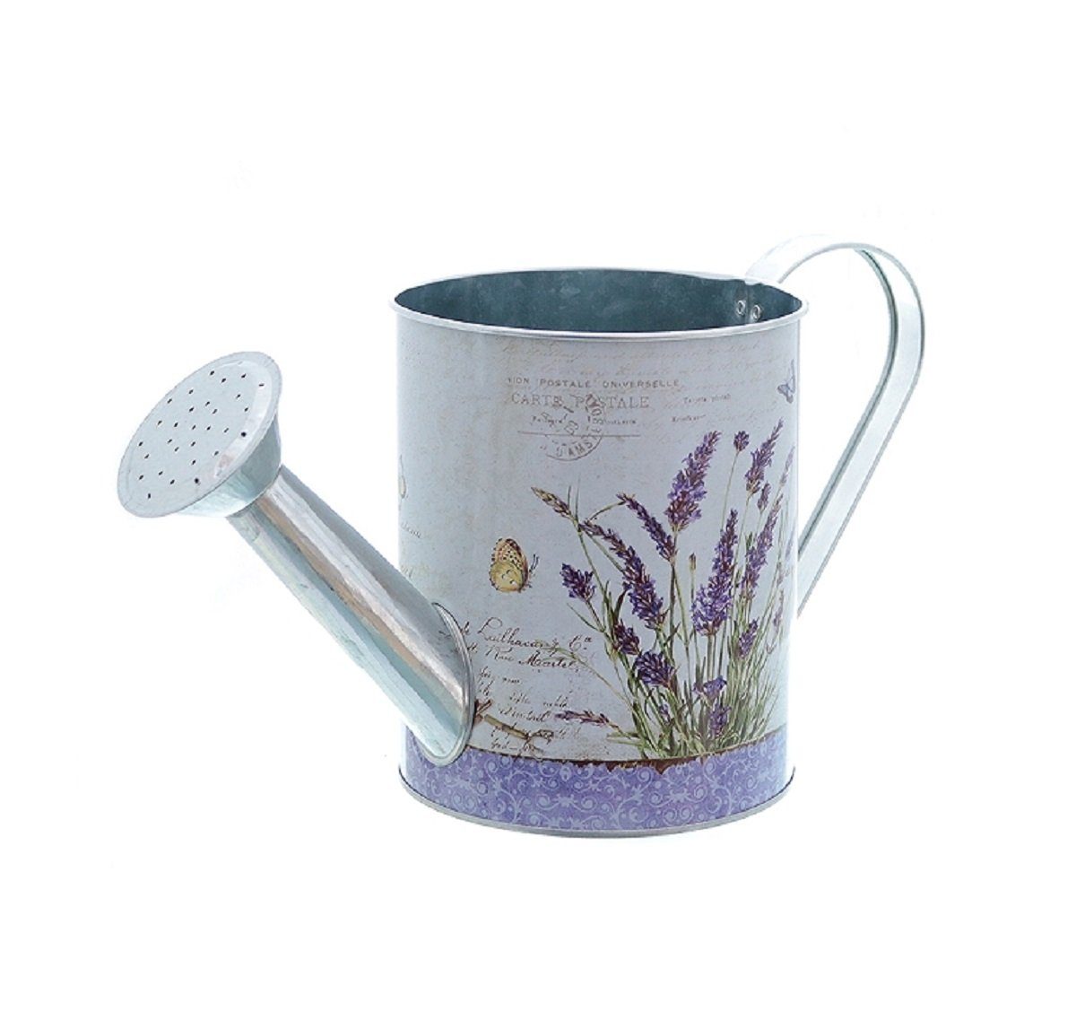 Lavendel Linoows zum Pflanzgefäß, Gießkanne bepflanzen, Blumentopf Pflanzkübel