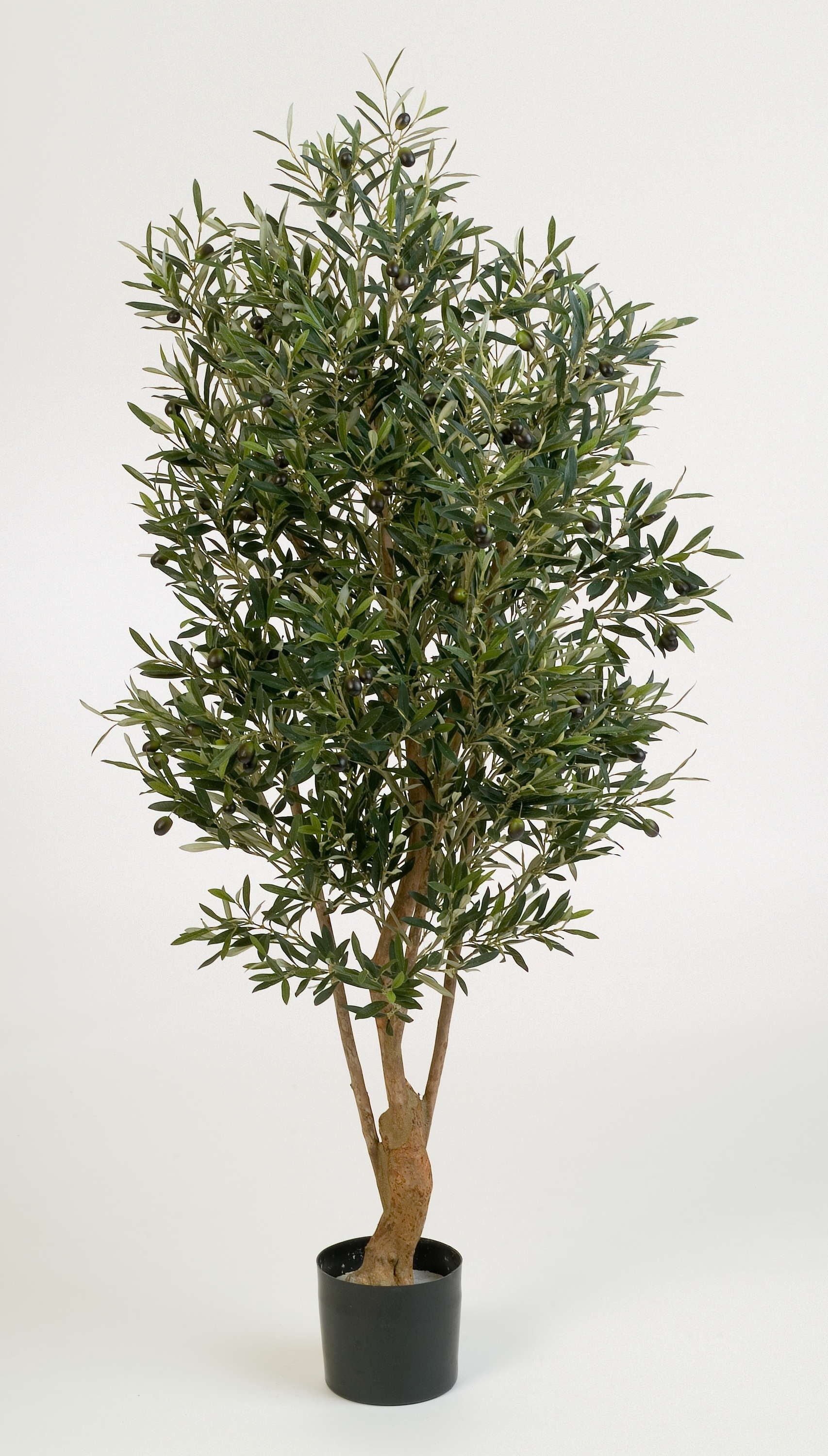 Kunstbaum Olive Alexandros, Echtstamm, mit Früchten, schwer brennbar, 150cm Olivenbaum, artplants, Höhe 150.0 cm