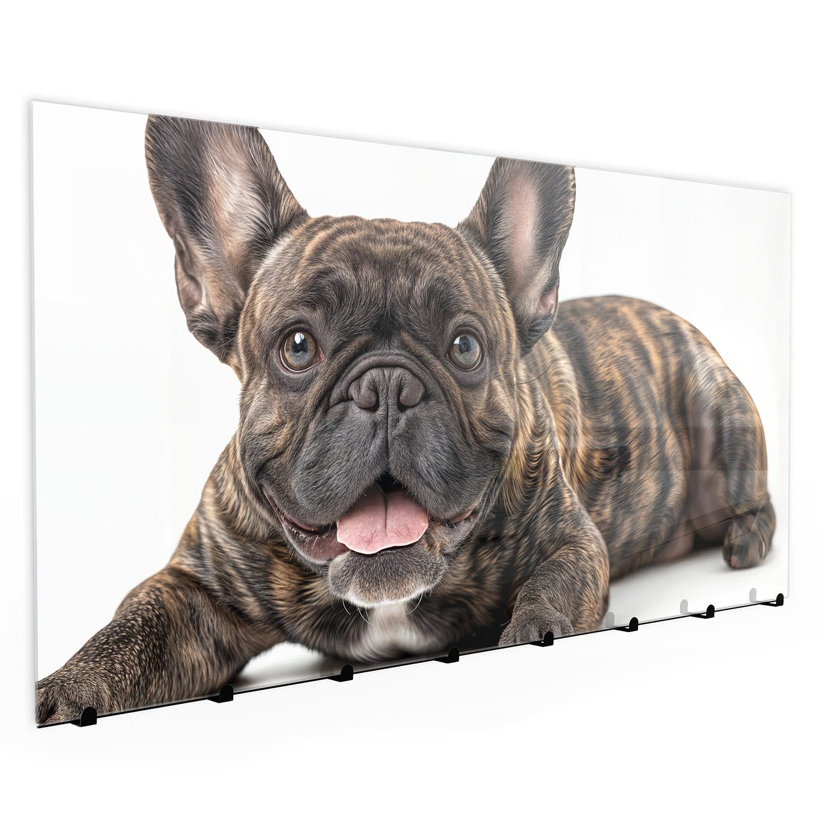 Primedeco Garderobenpaneel Kleiderhaken aus Glas Französische Bulldogge (1 St., Inkl. Magnete, Stifte und Montagematerial), Magnetisch & Beschreibbar