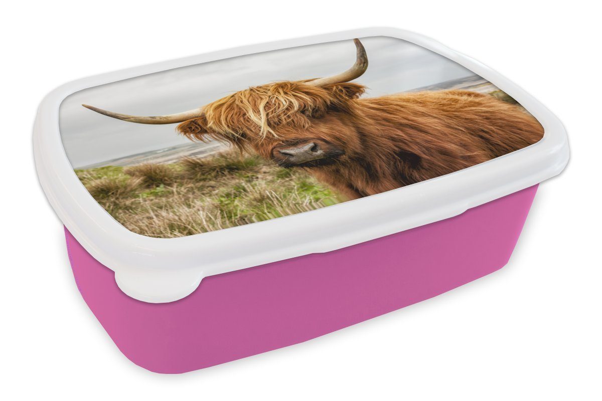 MuchoWow Lunchbox Schottischer Highlander - Kuh - Dünen, Kunststoff, (2-tlg), Brotbox für Erwachsene, Brotdose Kinder, Snackbox, Mädchen, Kunststoff rosa