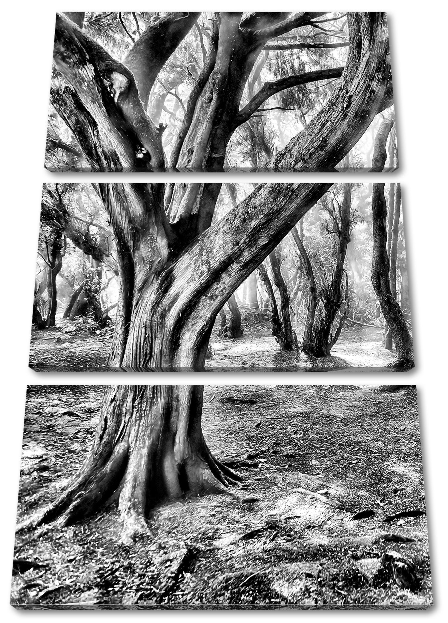 Pixxprint Leinwandbild Wald, Wald (120x80cm) bespannt, St), 3Teiler (1 fertig Zackenaufhänger inkl. Leinwandbild