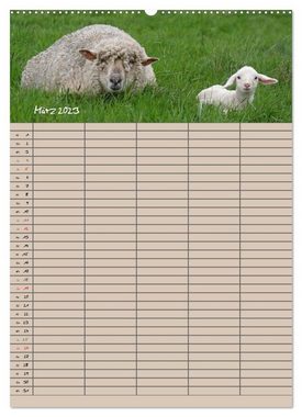 CALVENDO Wandkalender Der belämmerte Familienplaner (Premium, hochwertiger DIN A2 Wandkalender 2023, Kunstdruck in Hochglanz)