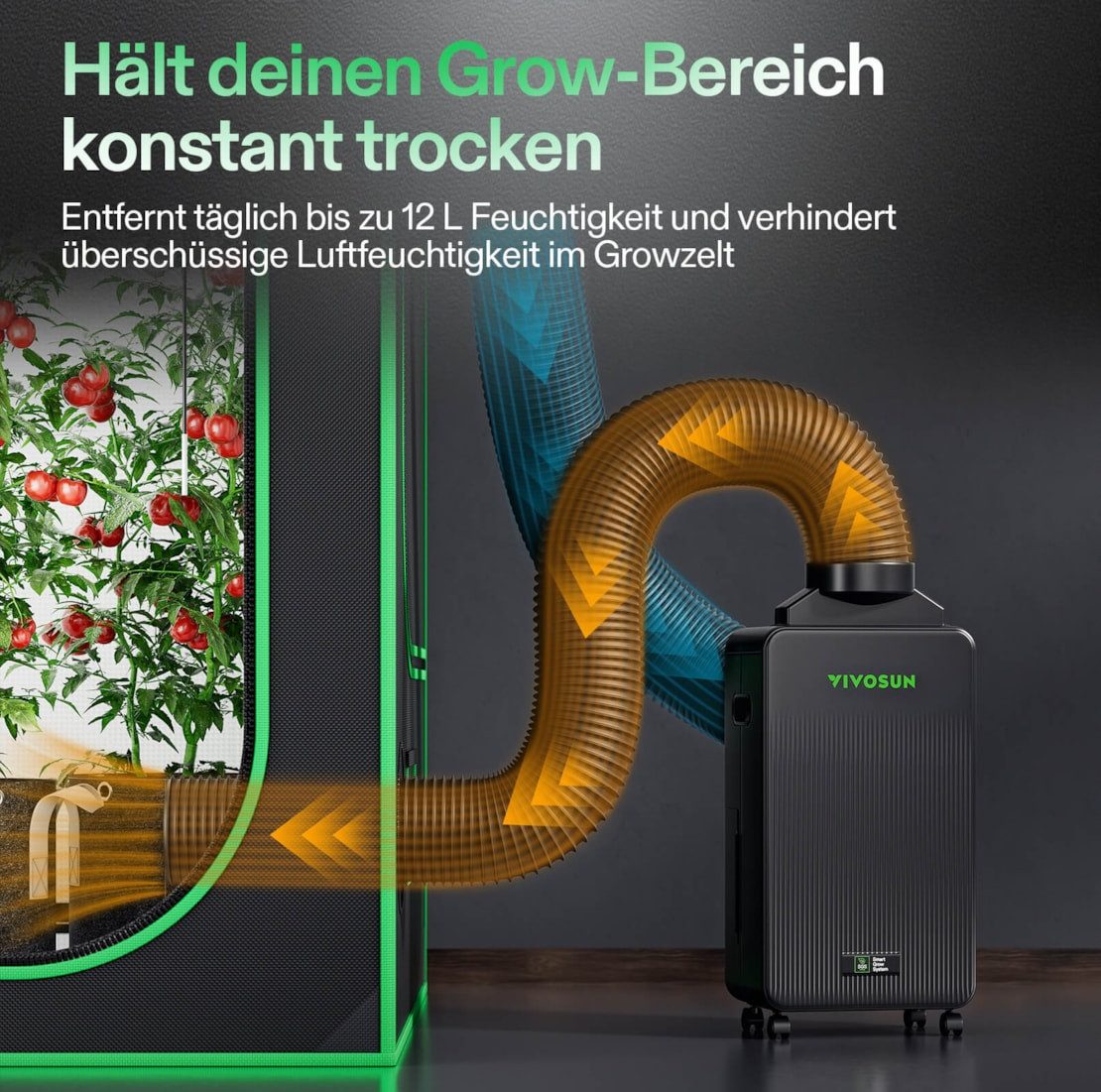 VIVOSUN Luftentfeuchter VIVOSUN AeroDrain D12 Smarter Luftentfeuchter, Tank 2 l, mit Temperatur- und Luftfeuchtigkeitssensor