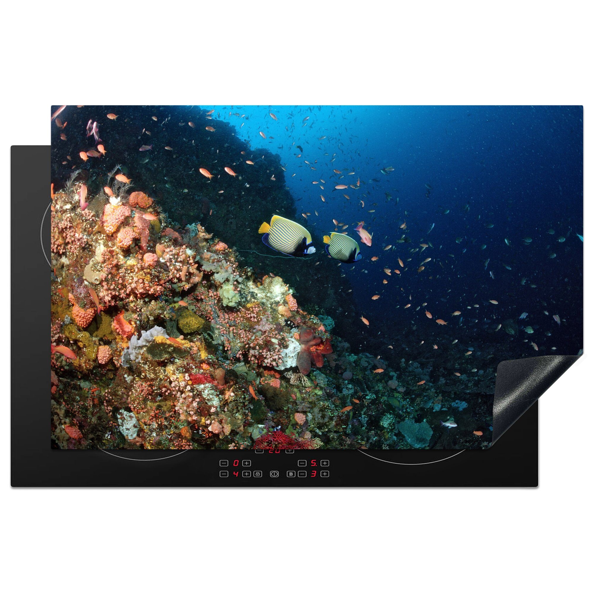 MuchoWow Herdblende-/Abdeckplatte Fische - Ozean - Korallen, Vinyl, (1 tlg), 81x52 cm, Induktionskochfeld Schutz für die küche, Ceranfeldabdeckung