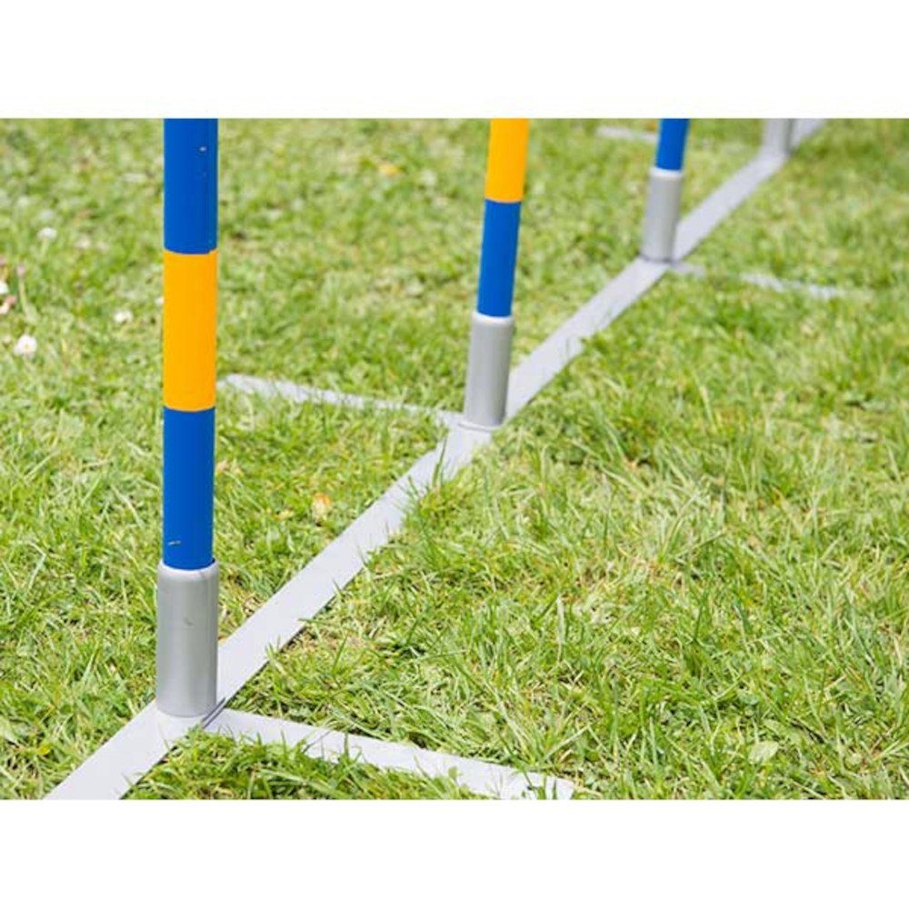 Procyon Agility-Slalom PROCYON Dog Agility Profi Alu Slalom
