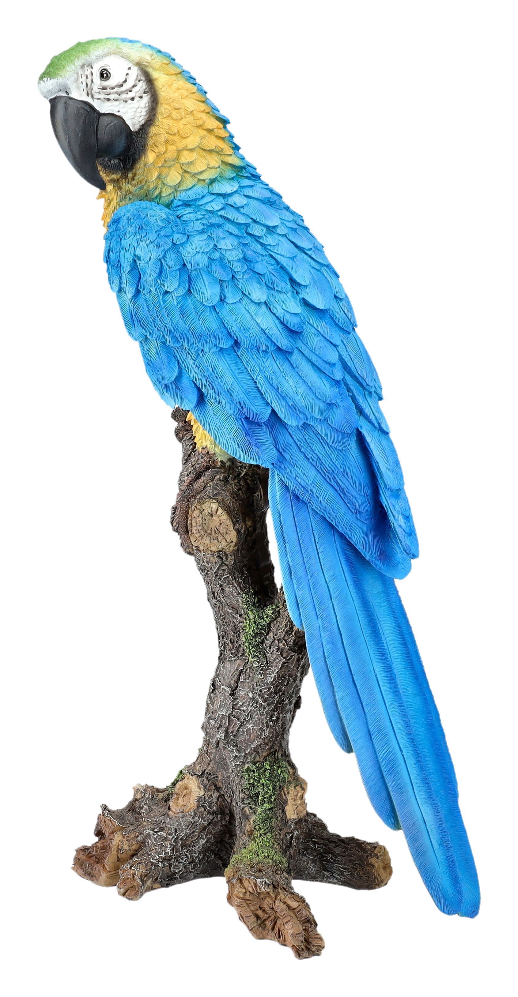 Figuren Shop GmbH Dekofigur Gartenfigur Papagei günstig online kaufen