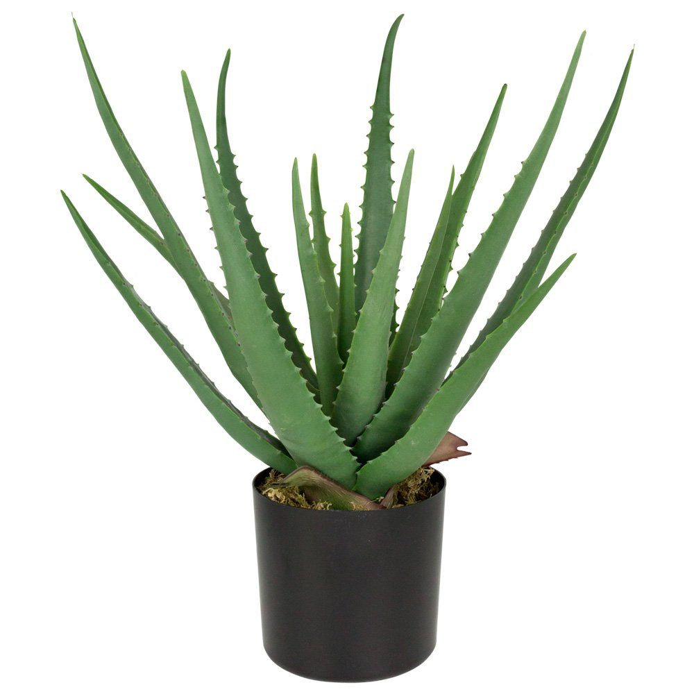 Künstliche Zimmerpflanze Aloe Vera Kunstpflanze Plastikpflanze