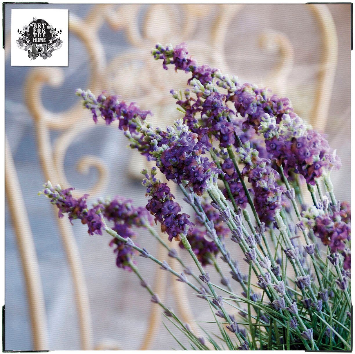 Art for the home Leinwandbild Outdoor Lovely 50x50cm, Blumen, Romantisch (1 St), Leinwand für draußen - Lavendel Harmonie - 50x50cm