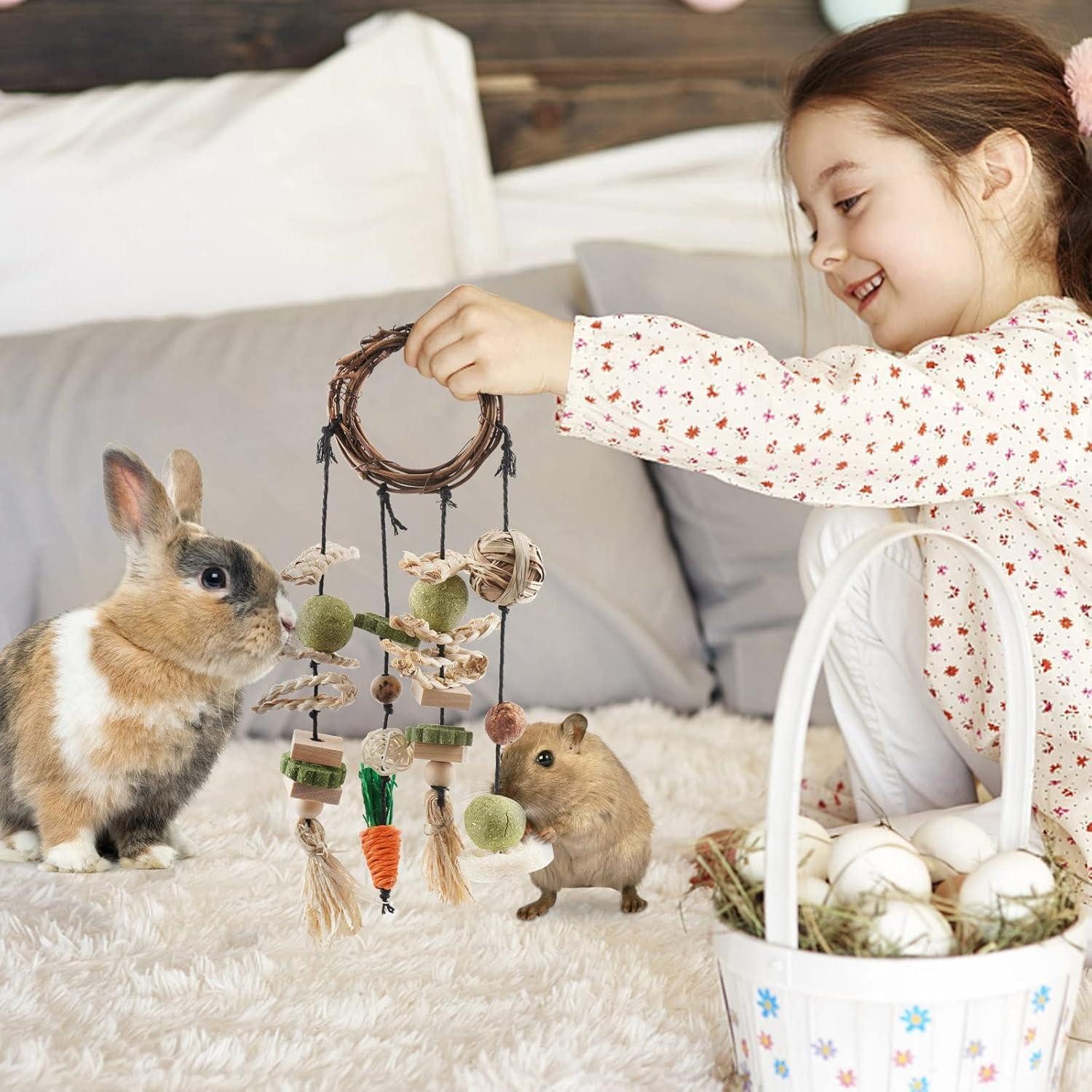 LuxusKollektion Kleintierkäfig Kaninchen Spielzeug Kauspielzeug Holz Hängen günstig online kaufen