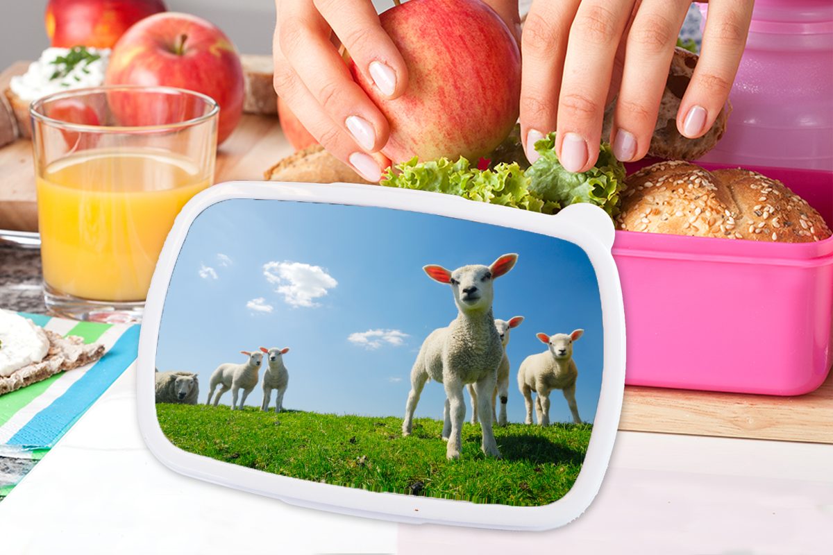 MuchoWow Lunchbox rosa für - - Schafe Erwachsene, Kinder, Brotbox Snackbox, Mädchen, Landschaft, Kunststoff Kunststoff, Frühling Brotdose (2-tlg)