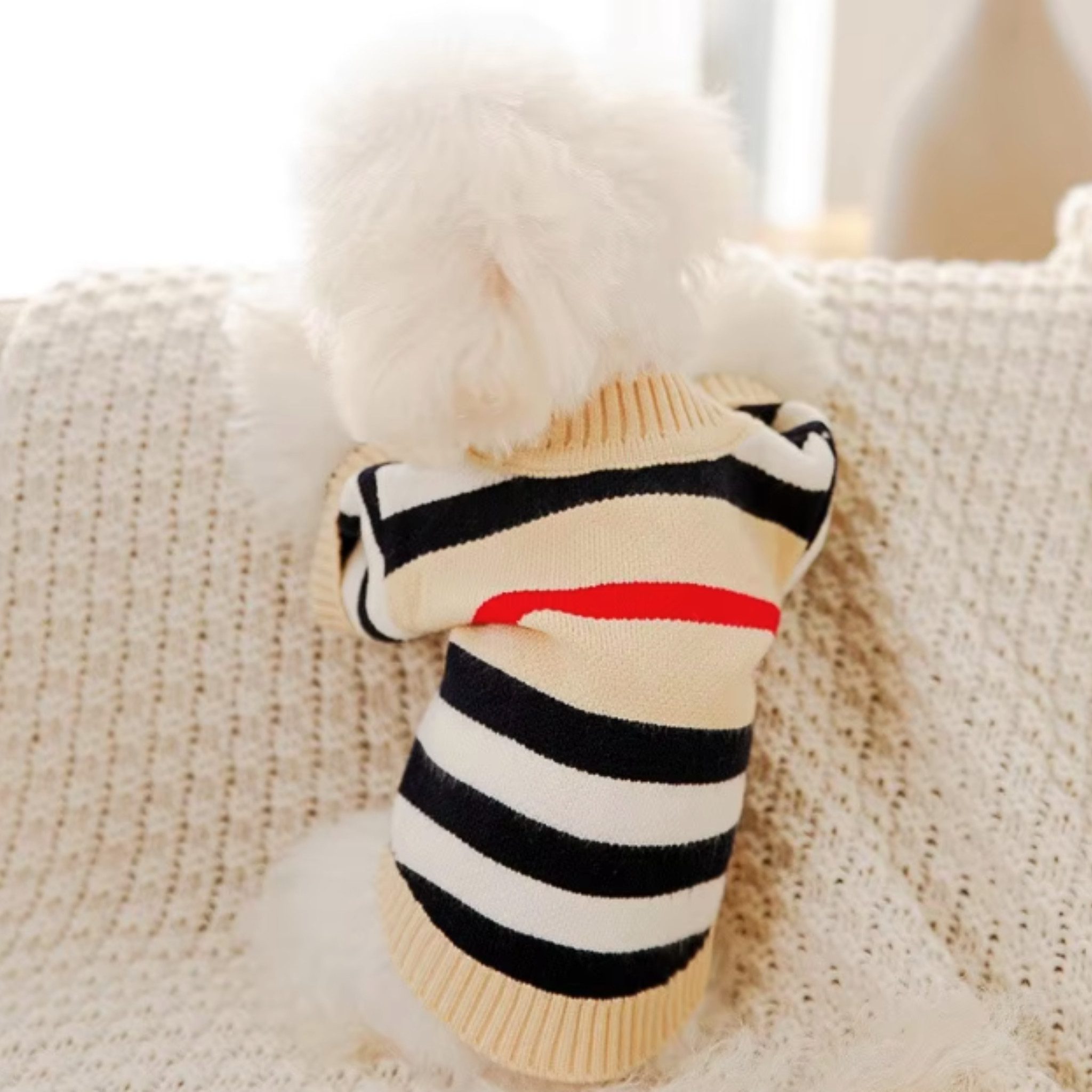 FLOCKI Pets™ Hundepullover Hunde Strickpullover, für Hunde in verschiedenen Größen, niedliches Teddy-Bär Design