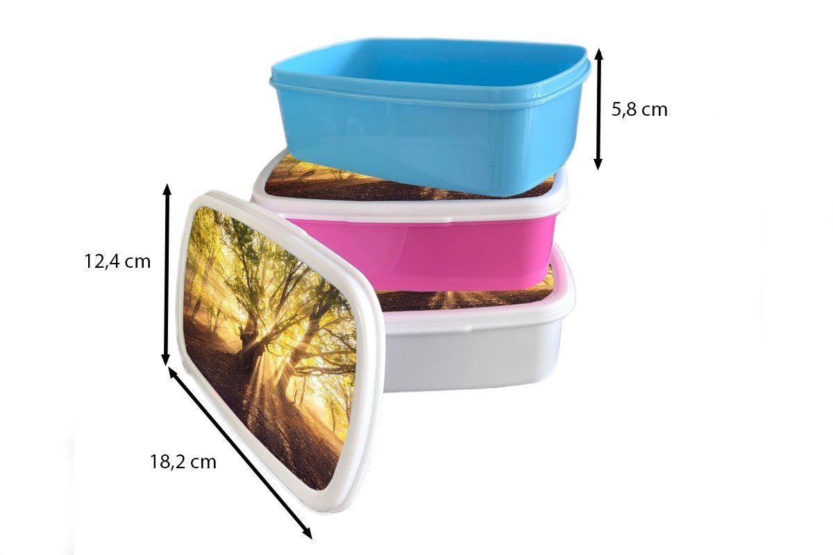 Sonne, Kunststoff, Brotbox - - MuchoWow (2-tlg), Snackbox, rosa Baum Mädchen, Brotdose Wald Lunchbox Kinder, Erwachsene, für Kunststoff