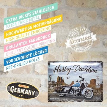 Nostalgic-Art Metallschild Blechschild 30 x 40 cm - Harley-Davidson Route 66 Road King Classic