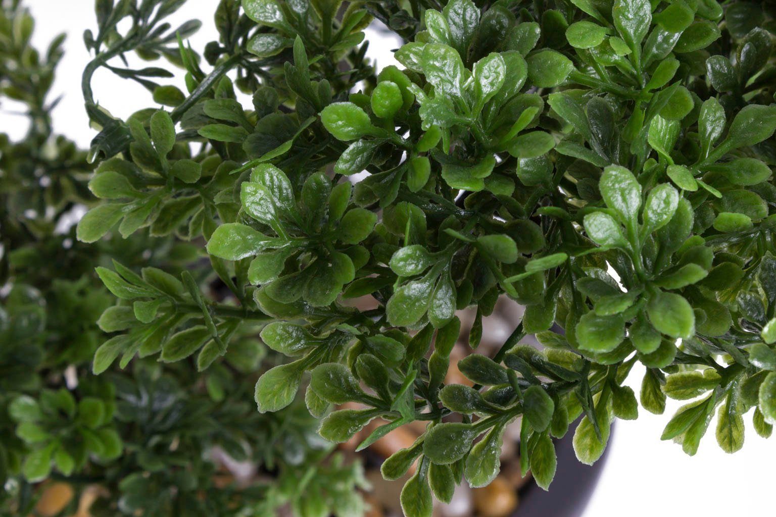 Kunstbonsai Ficus Bonsai Ficus, Botanic-Haus, Höhe 32 cm