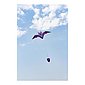 HQ Flug-Drache »Dark Fang Bat Kite«, Bild 4