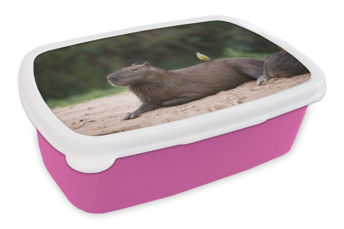 MuchoWow Lunchbox Ein Capybara Brotdose Brotbox darauf, rosa Kunststoff mit einem (2-tlg), Vogel kleinen Kinder, Erwachsene, Kunststoff, Snackbox, Mädchen, für