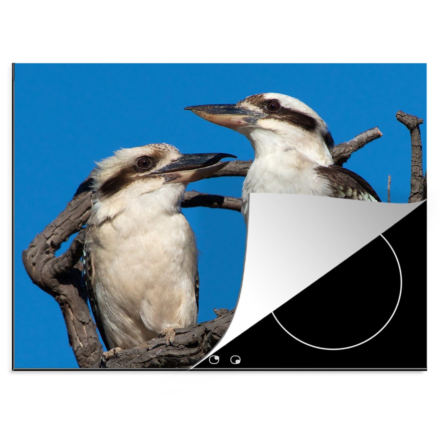 MuchoWow Herdblende-/Abdeckplatte Ein Paar Kookaburras auf einem Ast vor blauem Himmel, Vinyl, (1 tlg), 70x52 cm, Mobile Arbeitsfläche nutzbar, Ceranfeldabdeckung