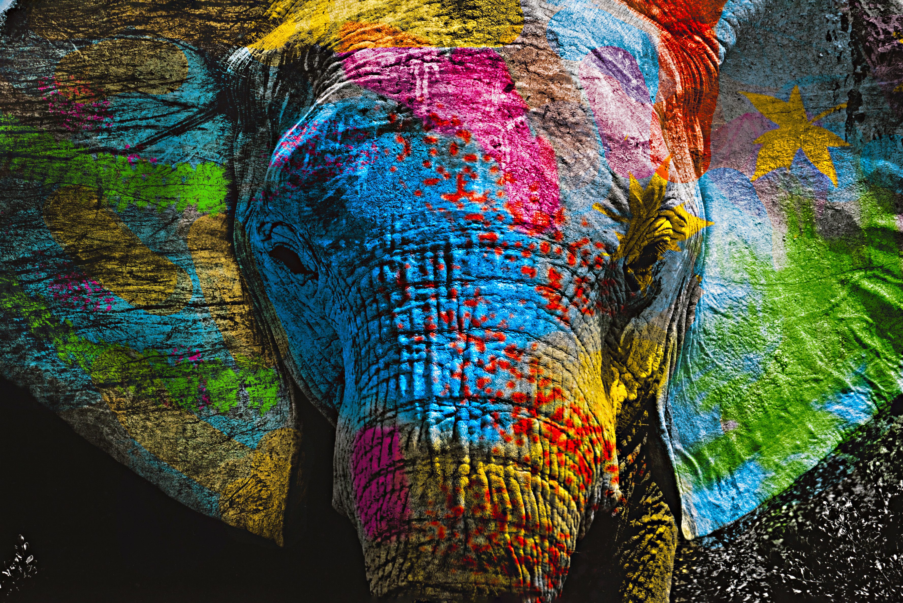 Affengeilebilder Leinwandbild Color Elephant auf Keilrahmen gespannt, (1 St), Kunstdruck Wandbild Bild in verschiedenen Formaten