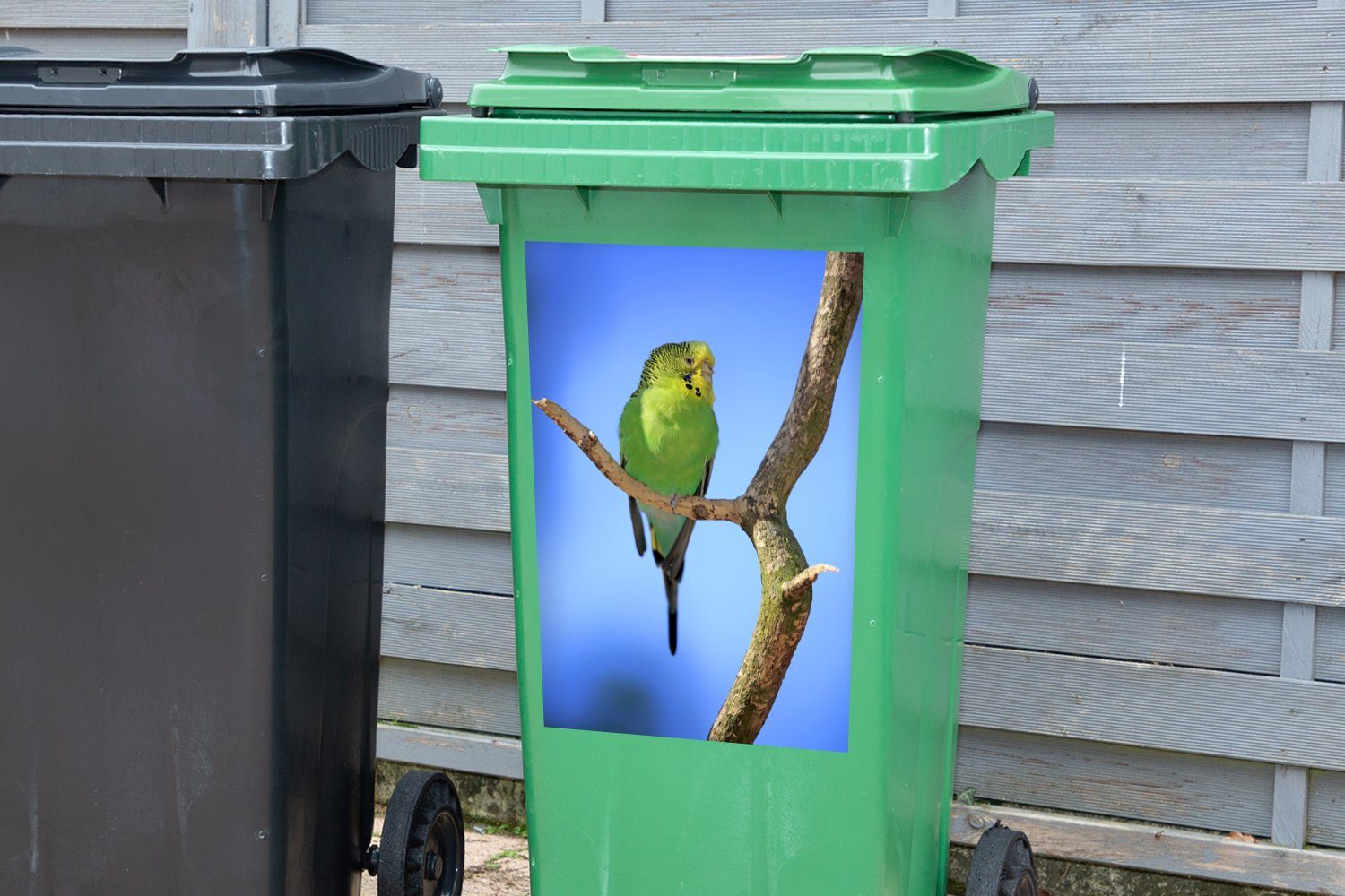 Container, Grüner hellblauem Wandsticker mit Sticker, (1 Hintergrund Mülltonne, MuchoWow Abfalbehälter St), Mülleimer-aufkleber, Sittich