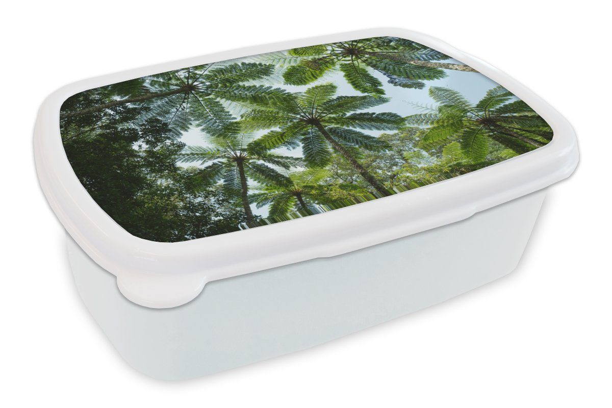 MuchoWow Lunchbox Bäume und Blätter im Dschungel, Kunststoff, (2-tlg), Brotbox für Kinder und Erwachsene, Brotdose, für Jungs und Mädchen weiß