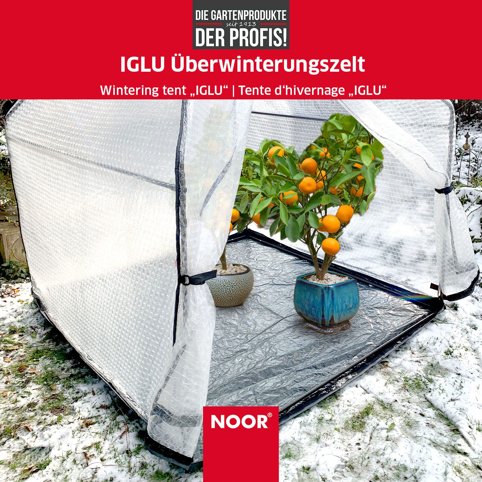 NOOR Winterschutzhaube Überwinterungszelt IGLU, Überwinterungsmöglichkeit für Pflanzen