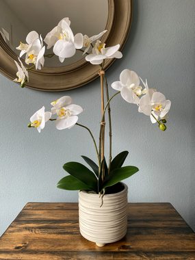Kunstblume Orchidee Phalaenopsis im Keramiktopf, weiß, 54 cm, Creativ green