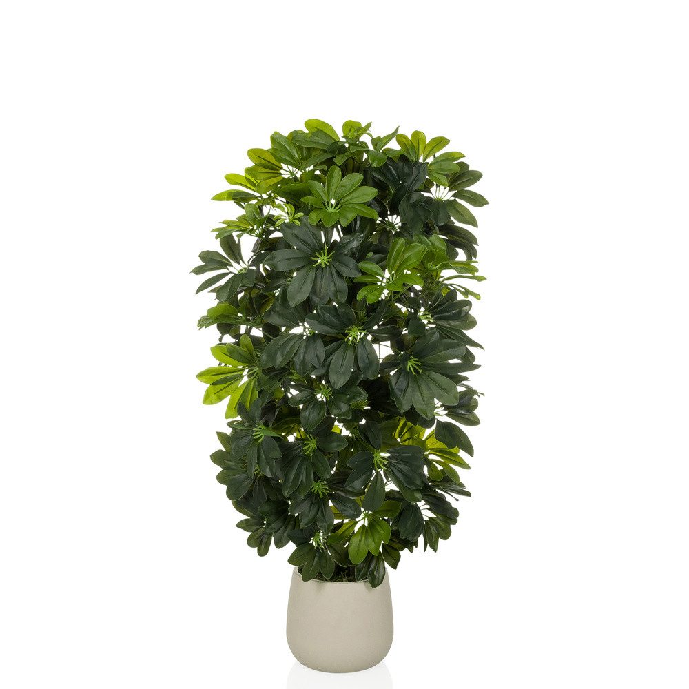 Kunstpflanze Schefflera 2 Künstliche Pflanze im Topf Höhe Strahlenaralie, hjh OFFICE, Höhe 110.0 cm, Künstliche Pflanze, Zimmerpflanze, Strahlenaralie mit Topf