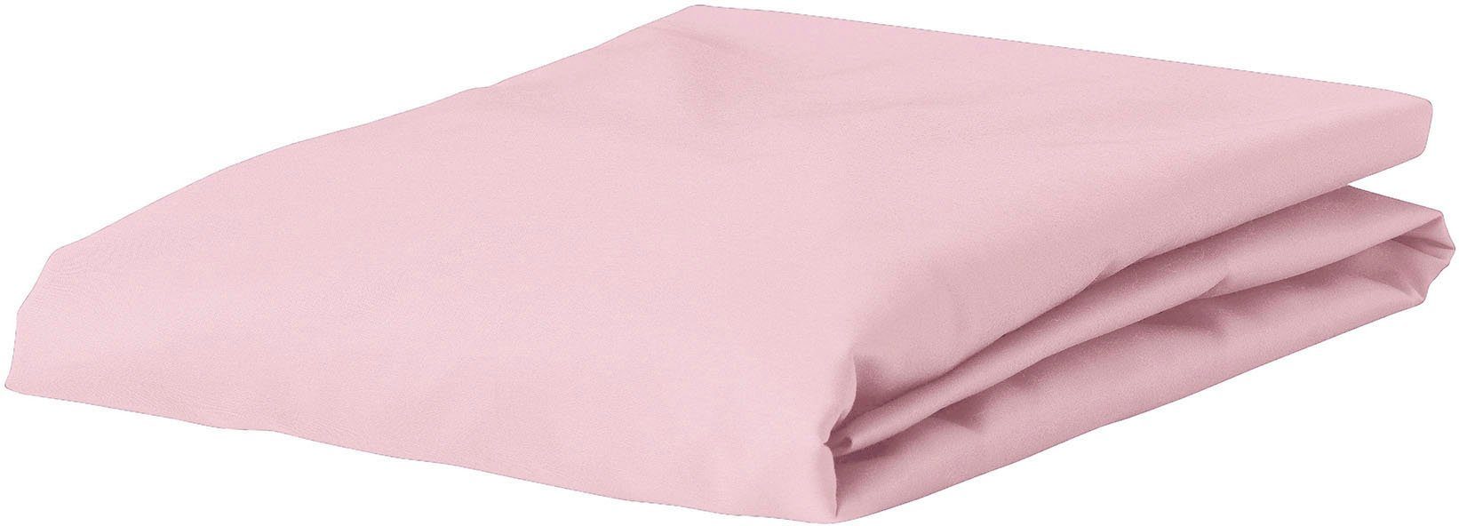 Esprit Spannbettlaken SHEET, Jersey-Elasthan, Gummizug: rundum, günstig online kaufen
