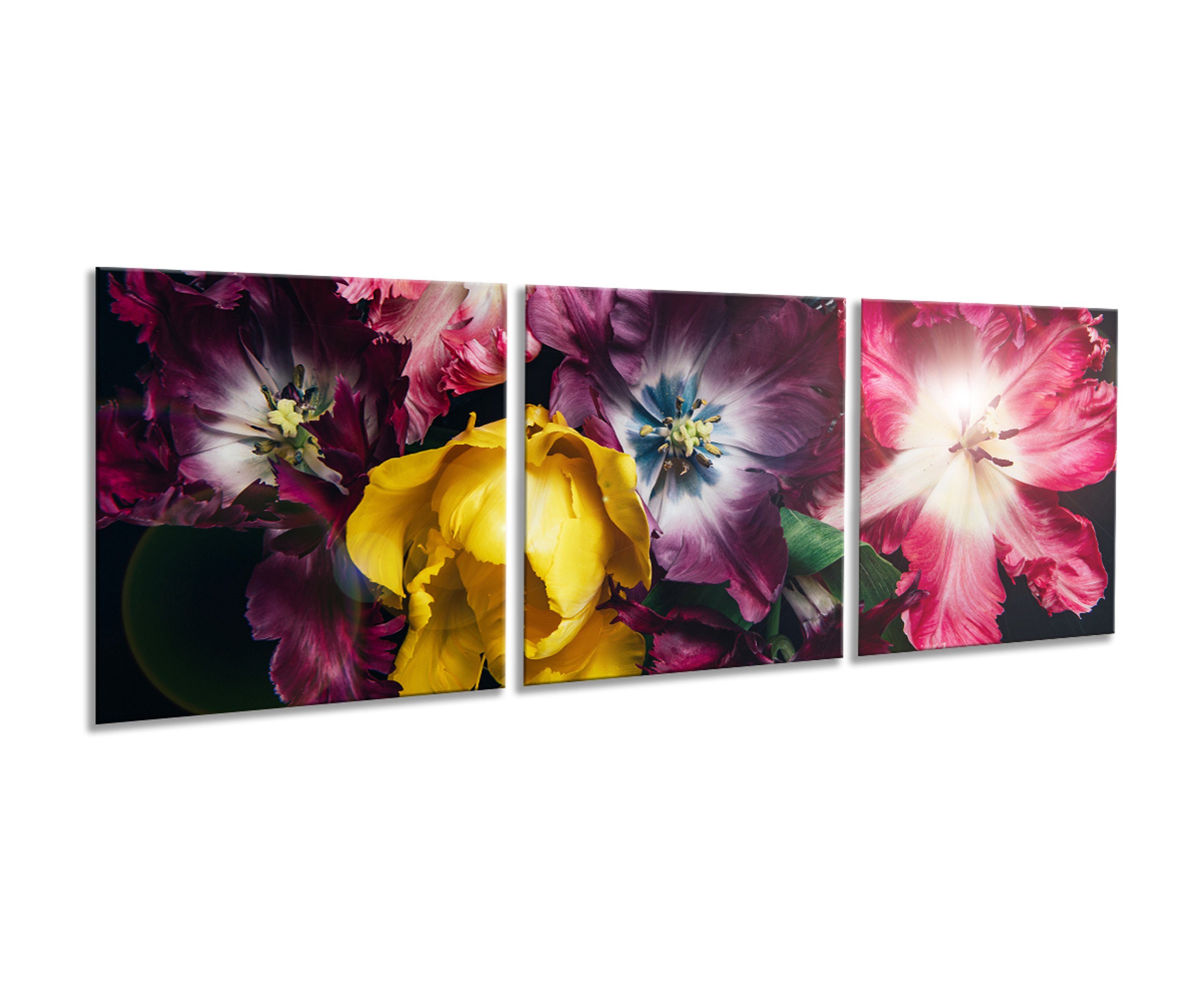 artissimo Glasbild mehrteiliges Glasbild 150x50cm Bild aus Glas 3-Teiler Blumen bunt