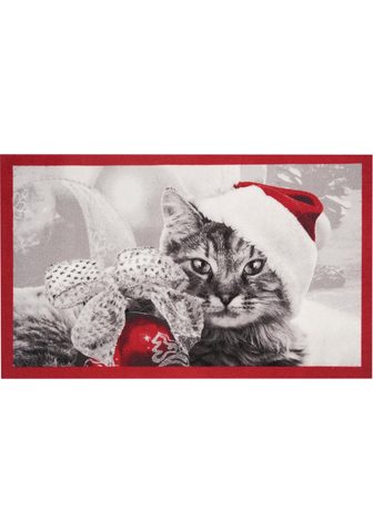  Durų kilimėlis Christmas Cat HANSE Hom...