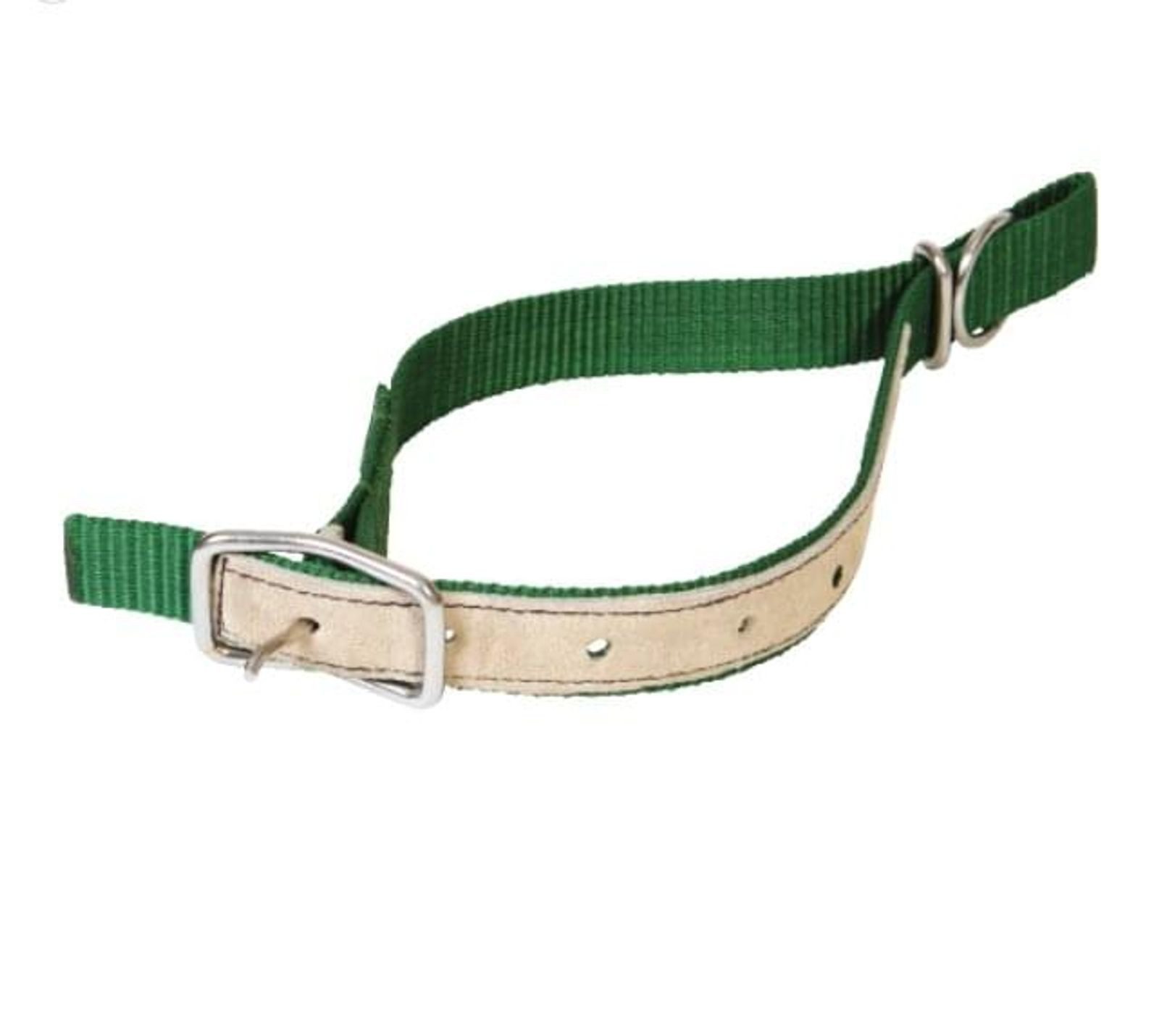 Horizont Tier-Halsband horizont Nylon-Halsriemen für Schafe lederverstärkt grün