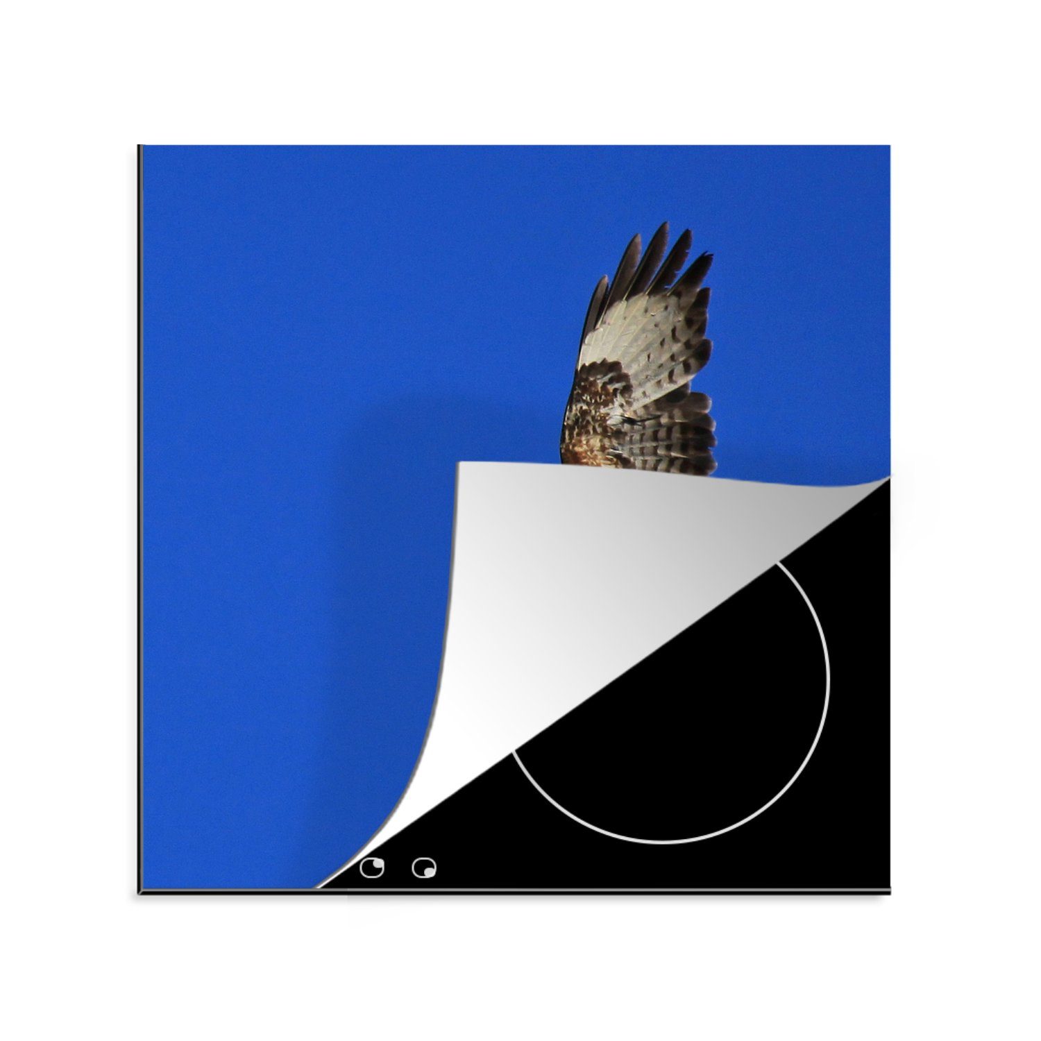 MuchoWow Herdblende-/Abdeckplatte Ceranfeldabdeckung, küche Arbeitsplatte Vinyl, Himmel gegen cm, Bussard für den blauen 78x78 abgebildet, (1 tlg)