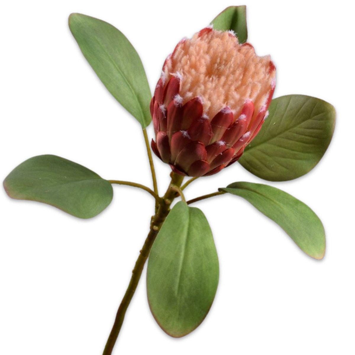 Künstliche Zimmerpflanze Seidenblume Protea Rot (70cm), SILK-KA