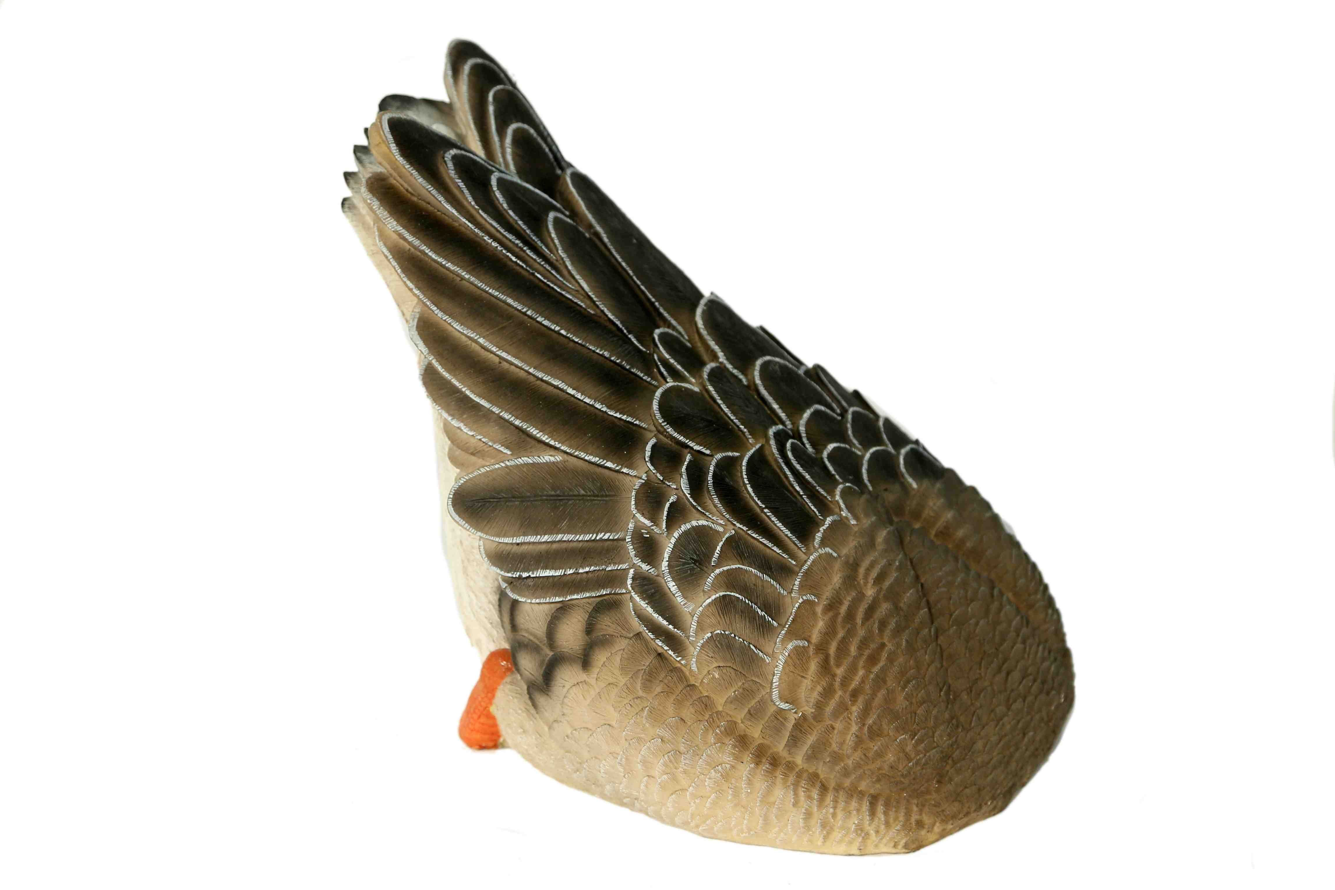 Casa Collection by Jänig Dekofigur Ente unter Wasser, schwimmend, Breite ca. 29cm, Tierfigur, Dekofigur, Ente