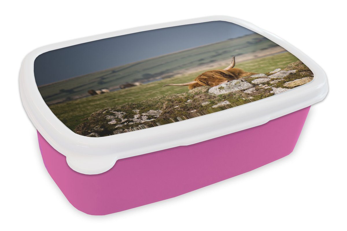 MuchoWow Lunchbox Schottische Highlander - Steine - Gras, Kunststoff, (2-tlg), Brotbox für Erwachsene, Brotdose Kinder, Snackbox, Mädchen, Kunststoff rosa