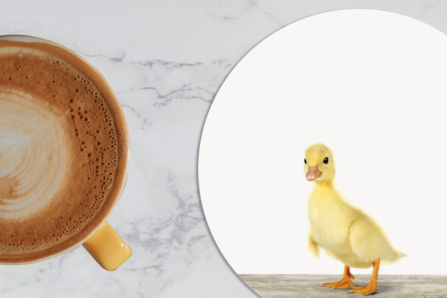 Korkuntersetzer, - Ente, Tiere Gläser, für Tasse, MuchoWow Tassenuntersetzer, Getränkeuntersetzer, Becher Gelb 6-tlg., - Glasuntersetzer Zubehör