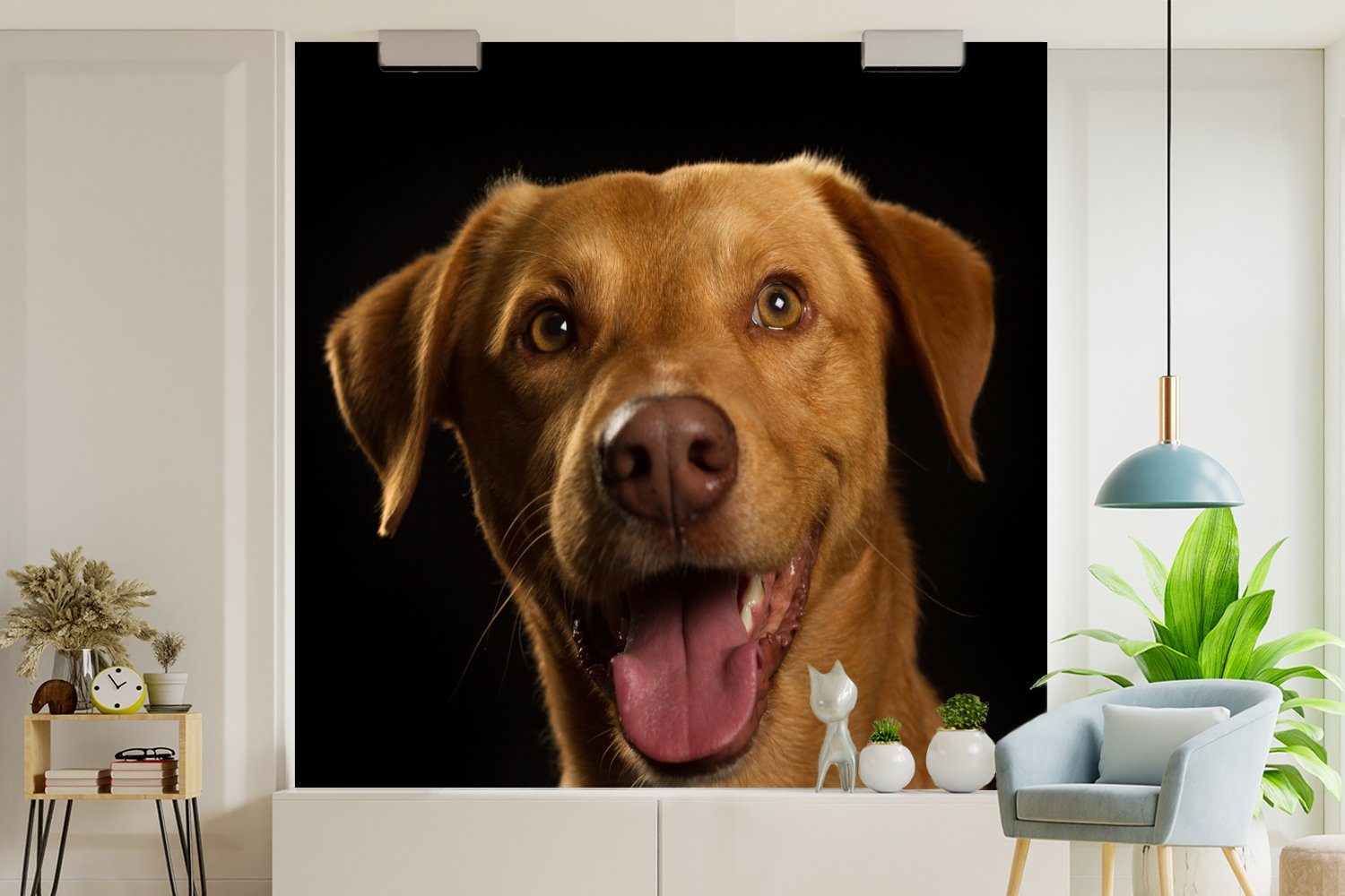 bedruckt, Haustiere - MuchoWow Vliestapete für Hund Wohnzimmer Fototapete Schlafzimmer Küche, Porträt, St), Matt, - (4 Fototapete