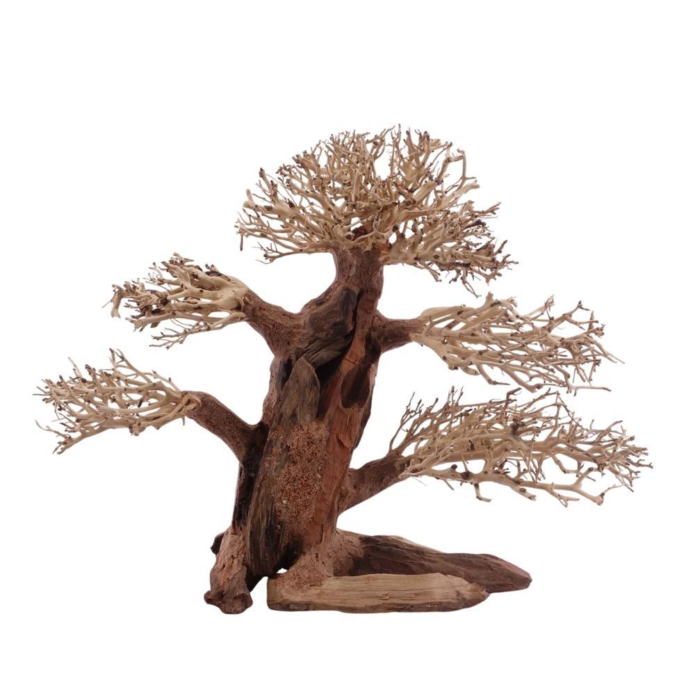 Aquaone Aquarium Classic Bonsai Baum XL 40x15x30 Wurzel Holz Aquarium Deko Aquascaping