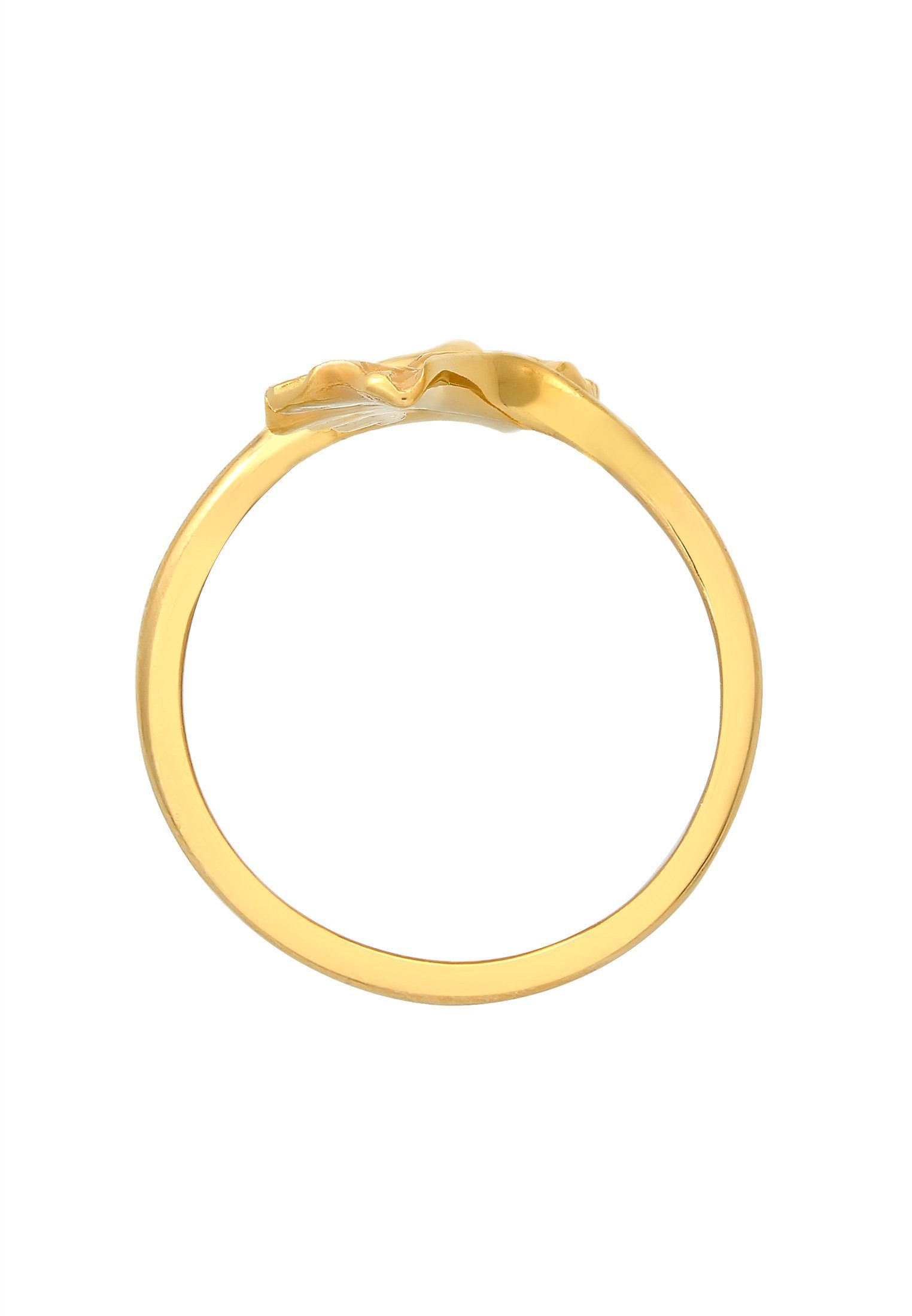 offen Silber, Elli Verstellbar 925 Ginkgo Ginkgo Natur Blatt Gold Fingerring