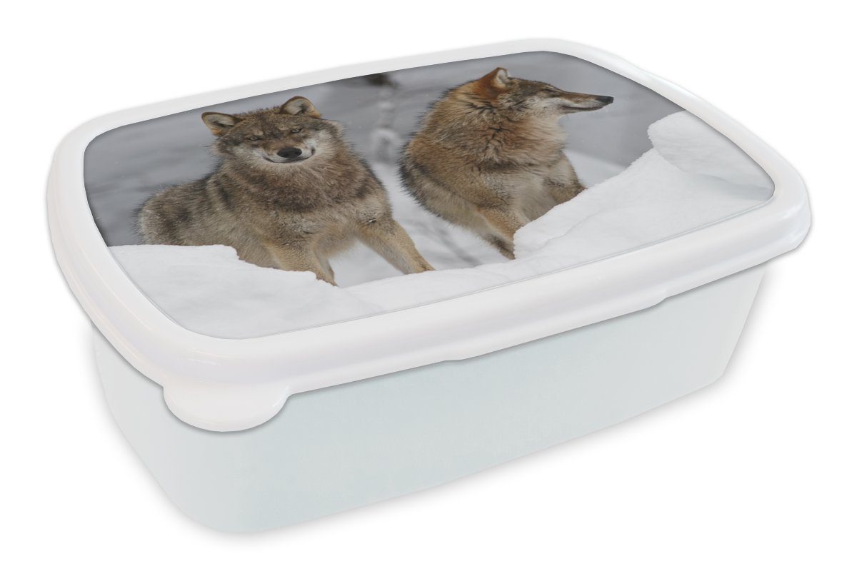 Erwachsene, weiß Jungs - Tiere, Kunststoff, Brotbox Wolf Brotdose, für Lunchbox Schnee und für - und (2-tlg), Mädchen MuchoWow Kinder