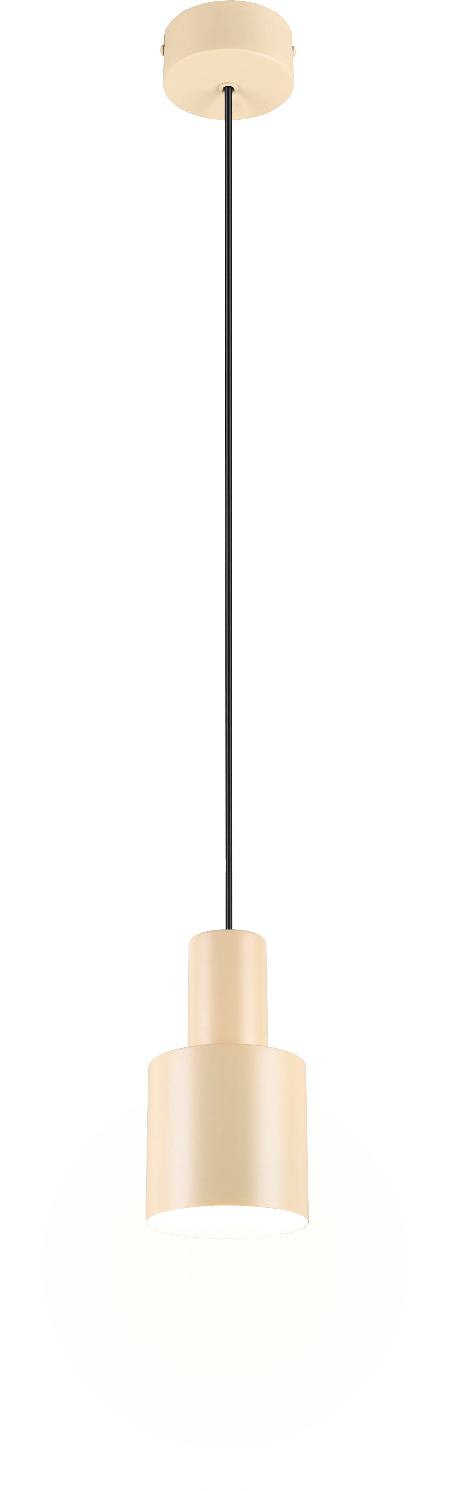 TRIO Leuchten Pendelleuchte AGUDO, Hängelampe 1-flammig, exkl 1xE27 max 10W günstig online kaufen