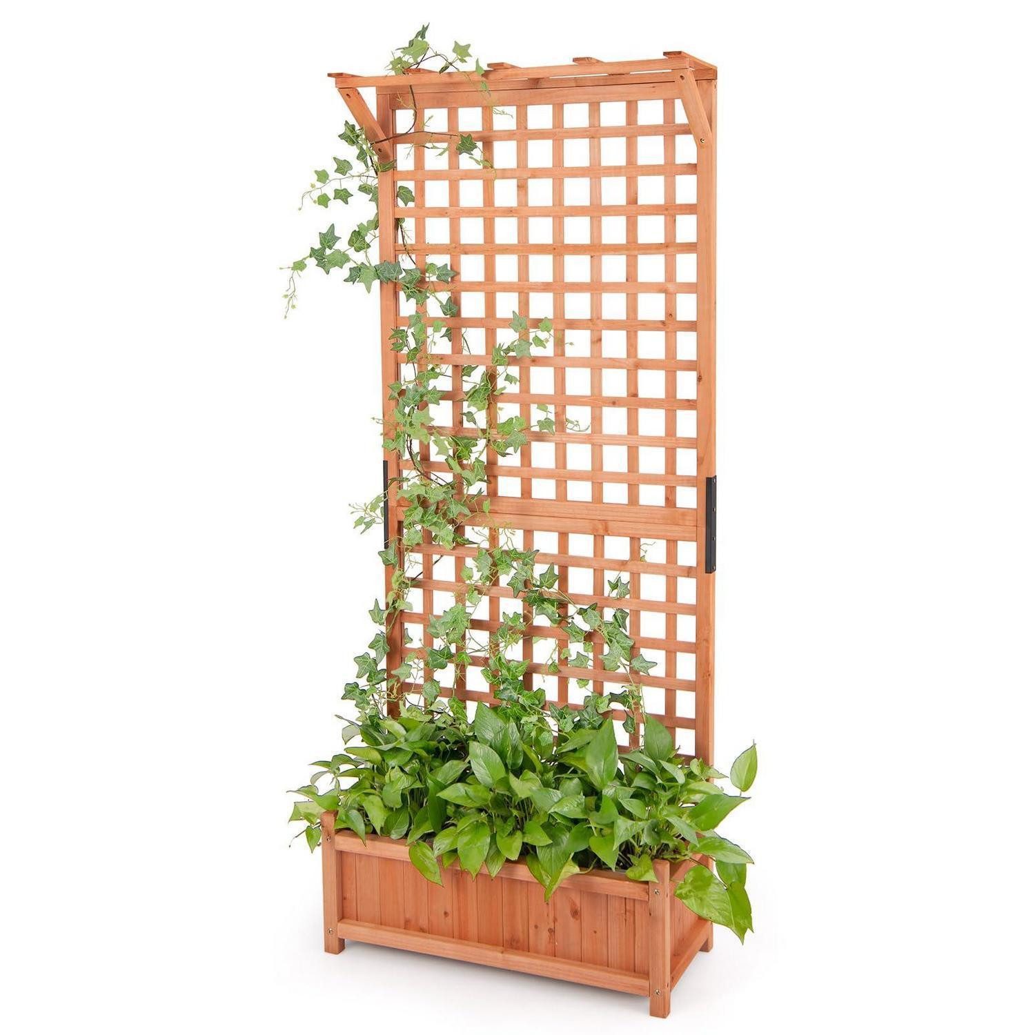 LuxusKollektion Hochbeet Blumenkasten mit Rankgitter 75x33x183 cm (1 St)